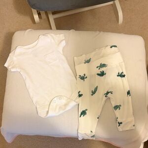 Carter's Onesie & Green Turtle Harem Pants
